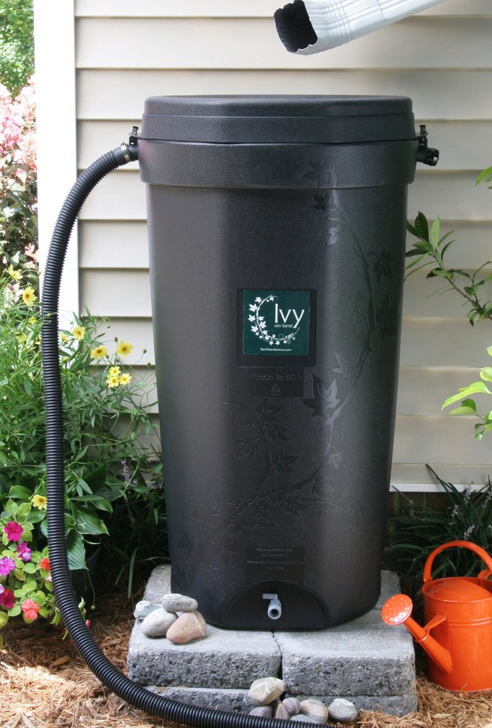 Rain Water Solutions Ivy Rain Barrel