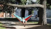 Sluice Hammocks