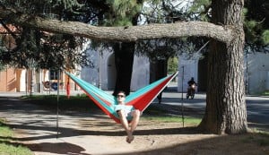 Sluice Hammocks