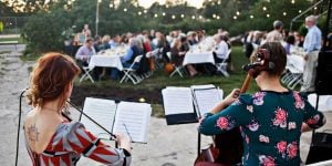 HarvestDinnerBlog2016 1