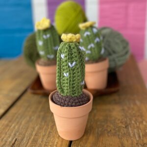 Craft Habit 1 CRAFT HABIT