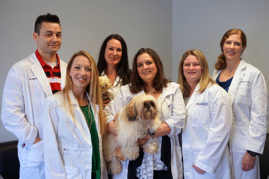 Animal Emergency Hospital & Urgent Care Team
