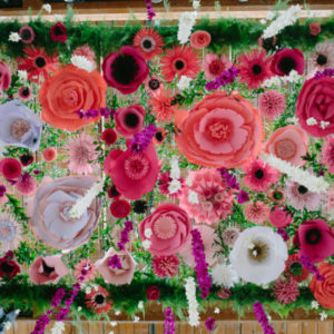 Member Spotlight – February's New & Renewed Members 20 image 2