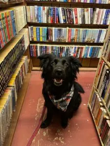 Reader's Corner