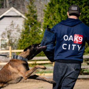 Member Spotlight - October's New and Renewed Members 36 Oak City K9