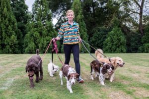 aMANdas Best Friend dog walker