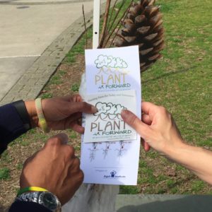 February's New and Renewed Members 32 We Plant it Forward