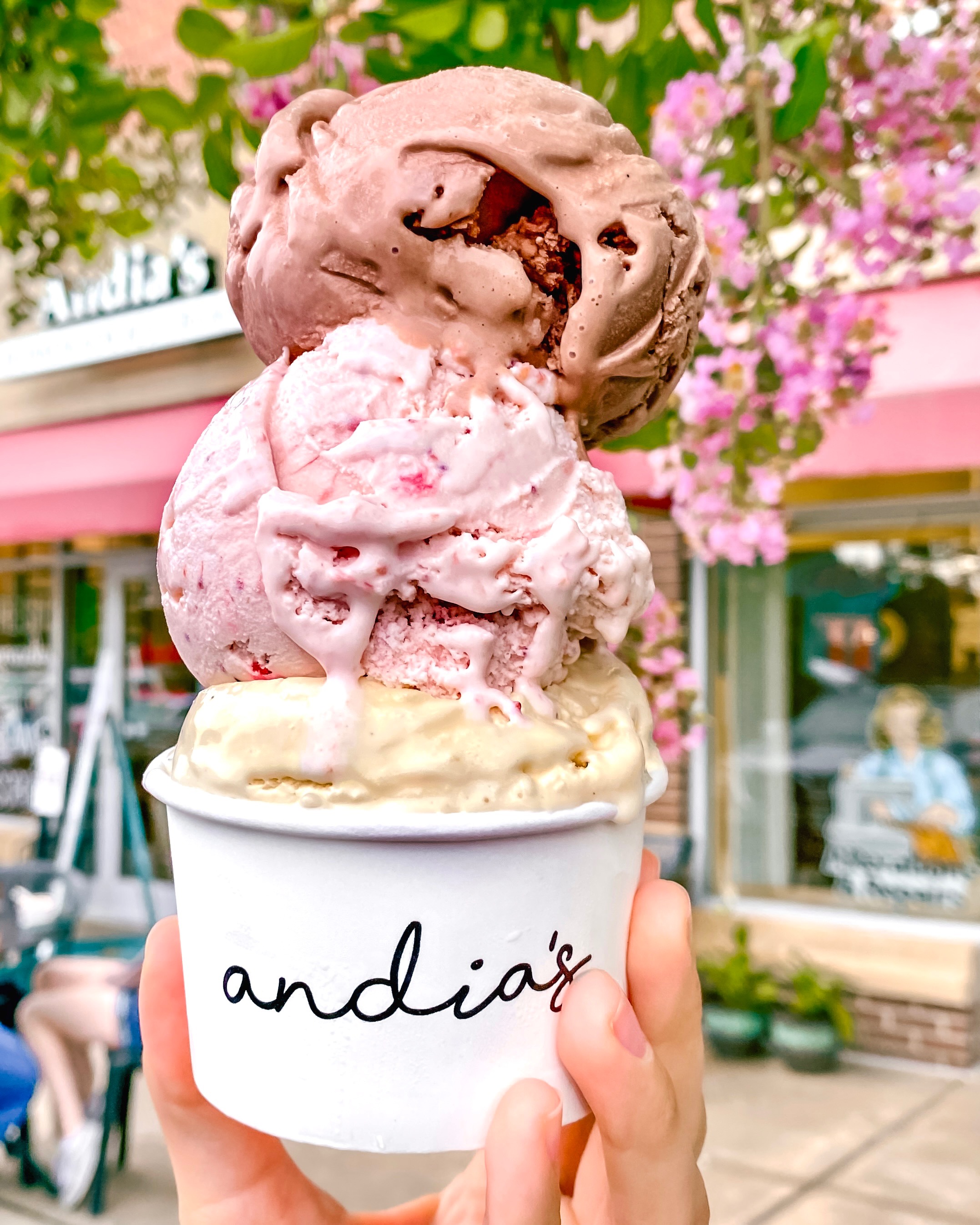 7 Of The BEST Ice Cream In Raleigh Shops The Locals Love!