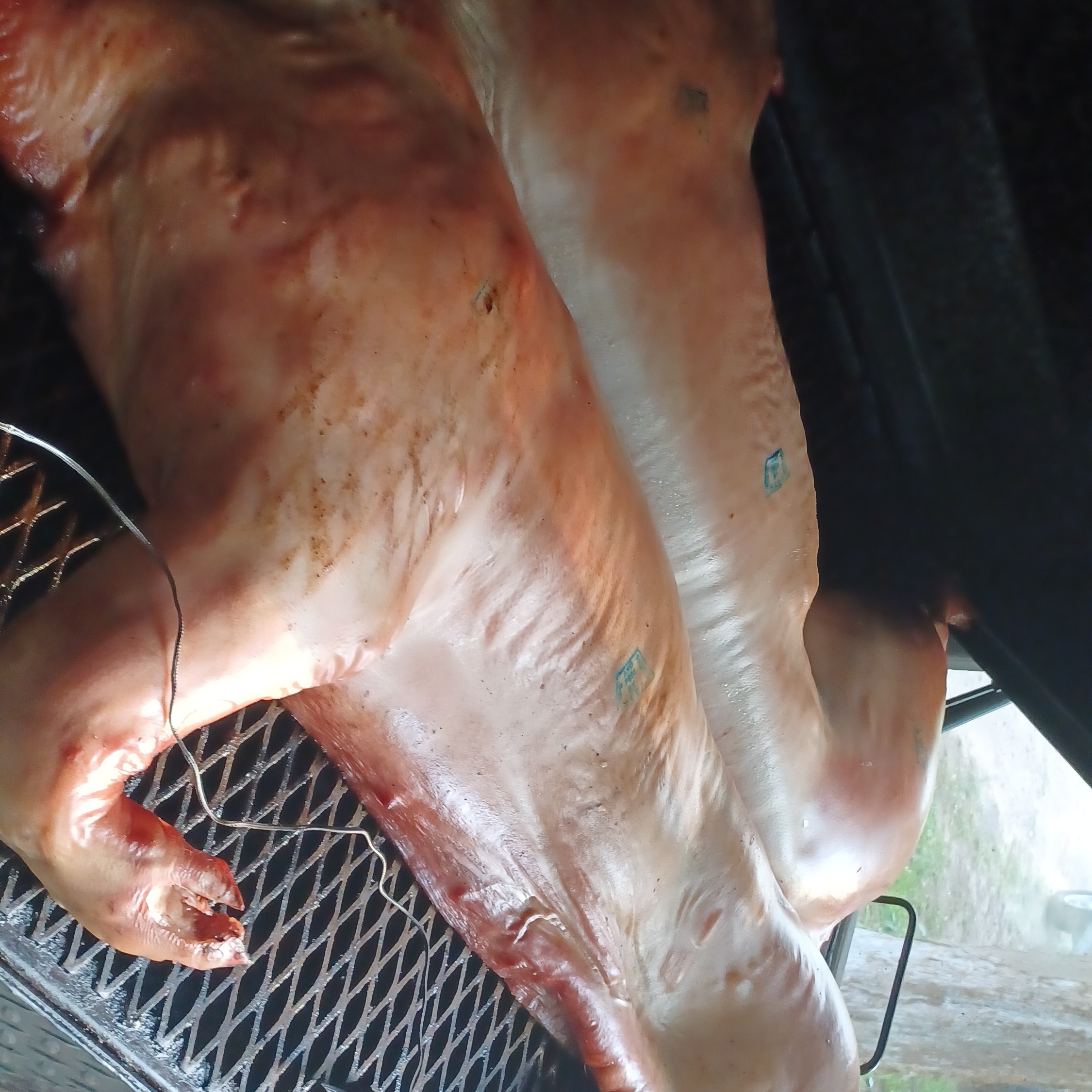 IMG 20220609 191545 345