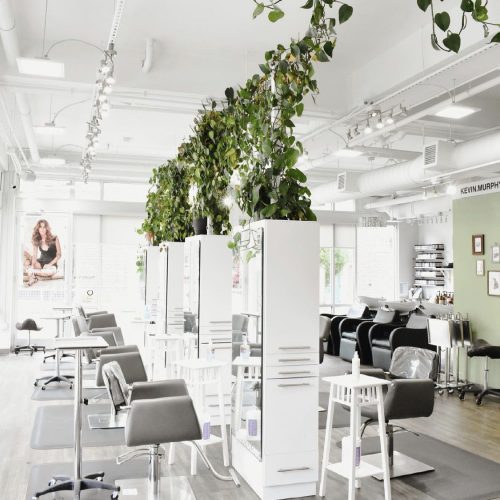 Meet the Owner of Meraki