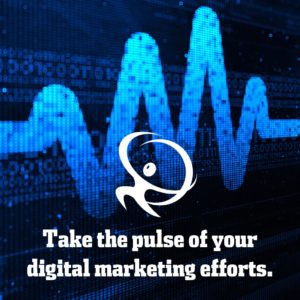 Member Spotlight- January's New and Renewed Members 73 dpt marketing