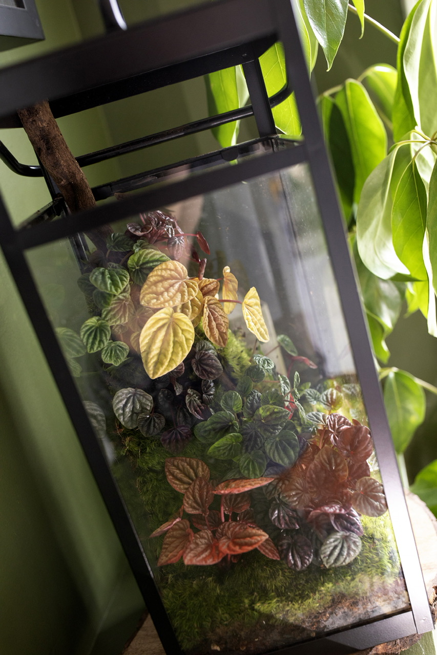 27185DD2 D6DE 4DF6 9991 70C0ACA3E585