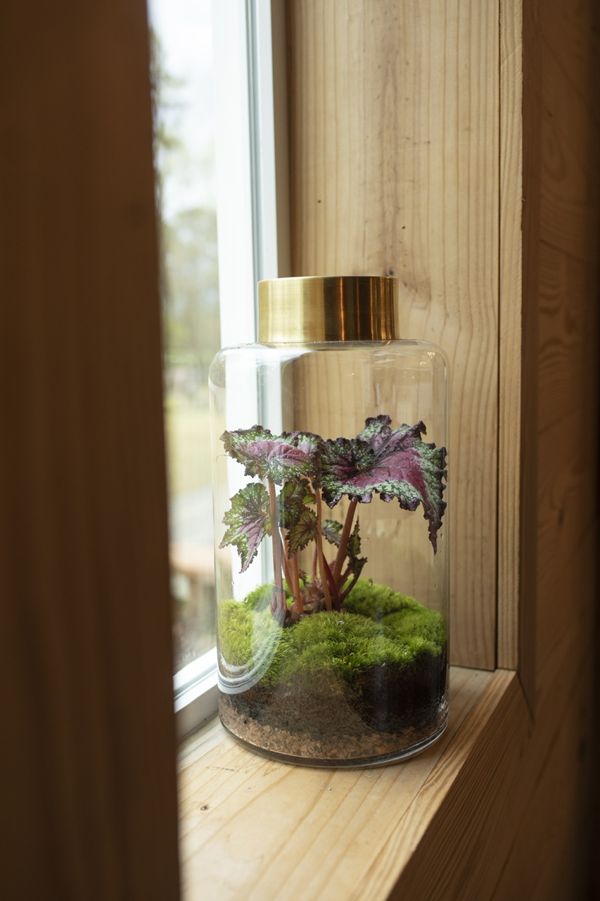 6CE3CC03 FEEE 446A 8EED B98C3BE41A64