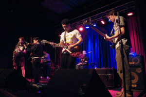 Sugar Snap Peas 2025