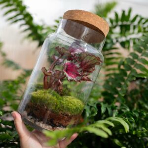 Garden & Gather 1 Garden and Gather