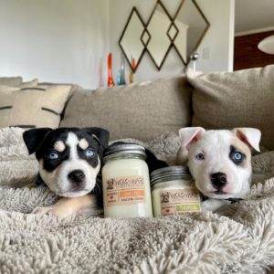 wicks for wags 2 doggo