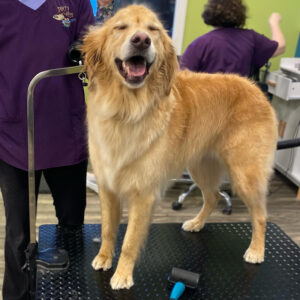 January's New and Renewed Members 66 stonehenge001