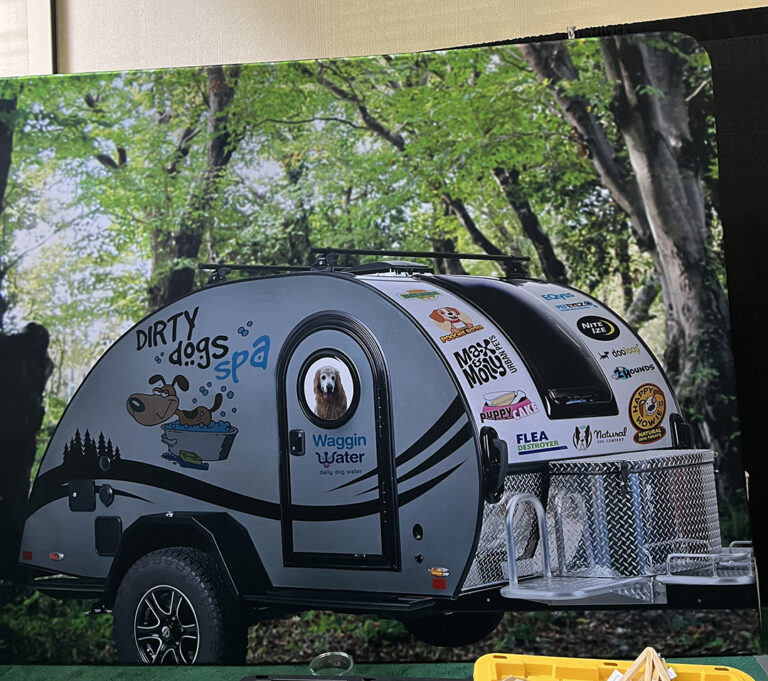 DDS event backdrop 768x681