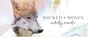 header ww v2 2048x 1 300x150