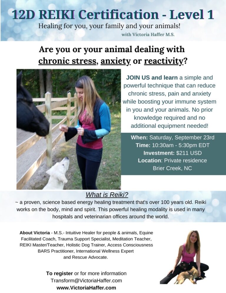 reiki workshop 768x995