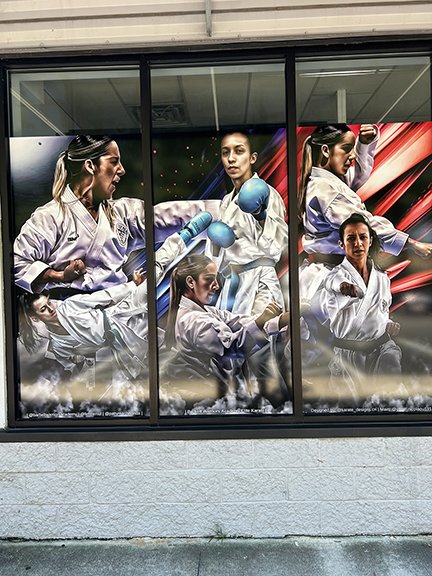window vinyl2