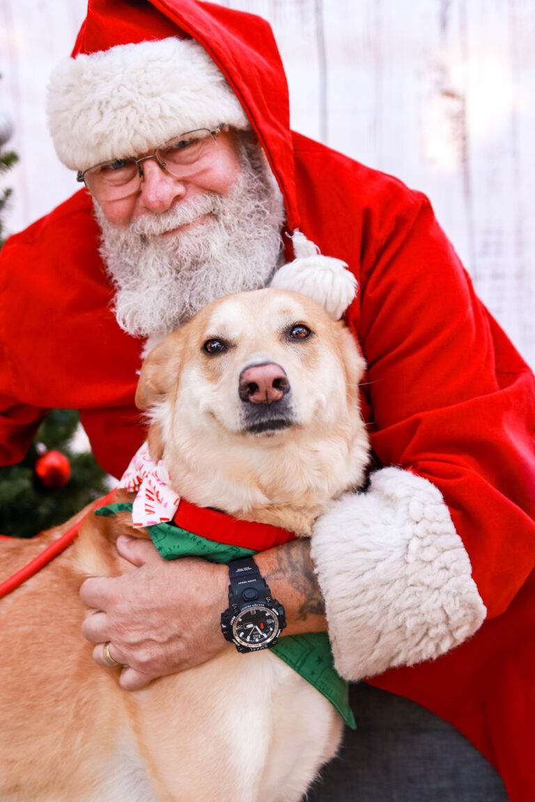 PhoHOHOtos With Santa 2022 Finals 158 768x1152