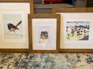 Member Spotlight- December's New and Renewed Members 17 birds