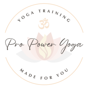 Pro Power Yoga Raleigh NC Yoga Teacher Training Logo 300x300