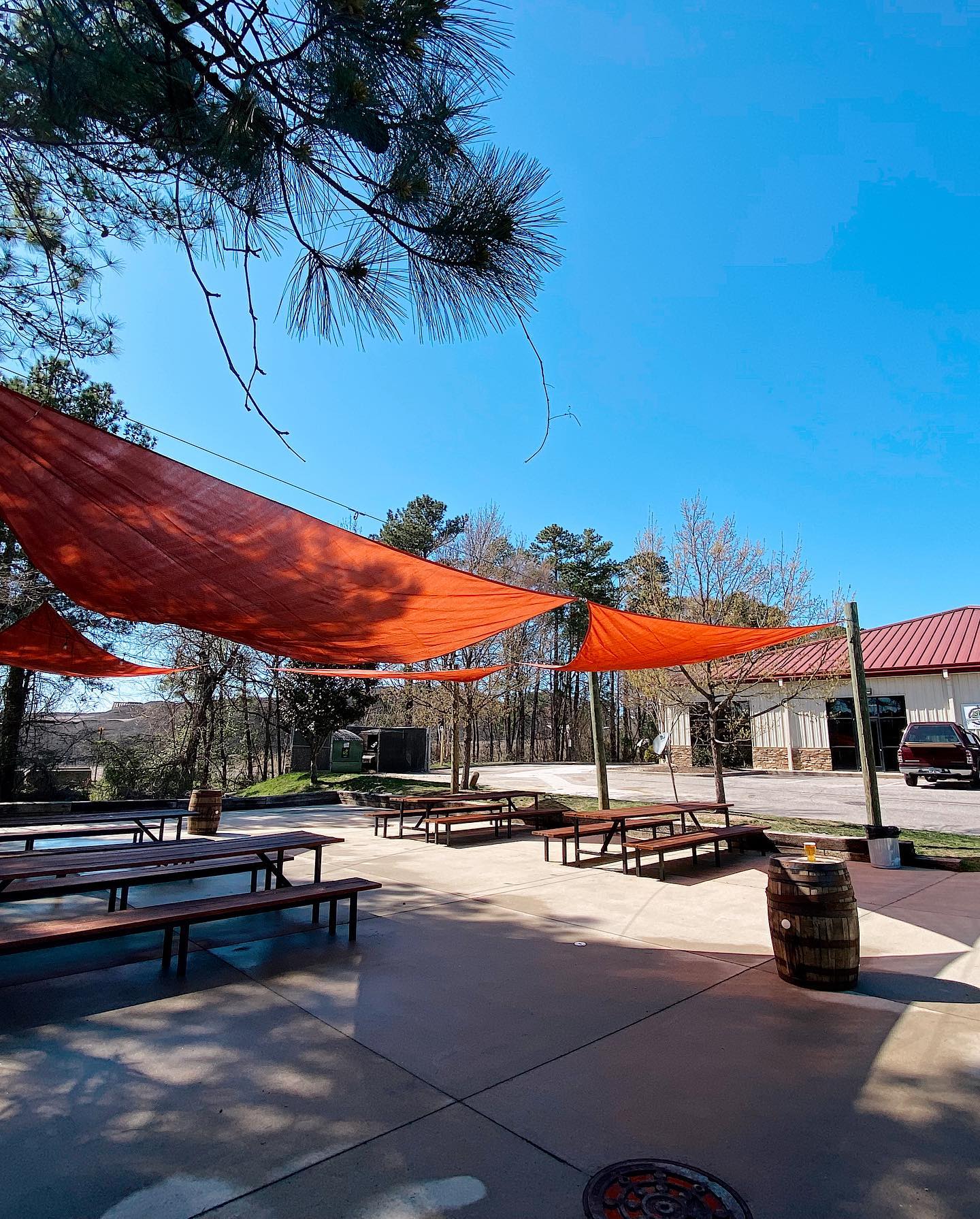 277176782 3057894434462330 5731786515982626847 n