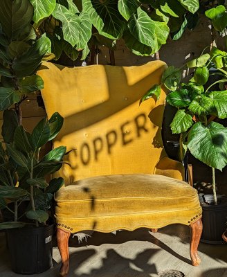 Copperline Plants Copperline Plants