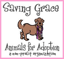 sg logo  1