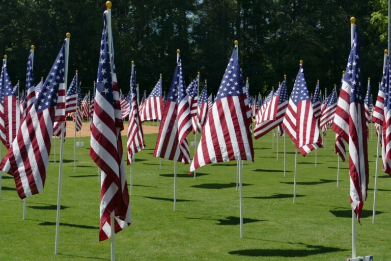 FOH Friday Flags 4 1024x683 1