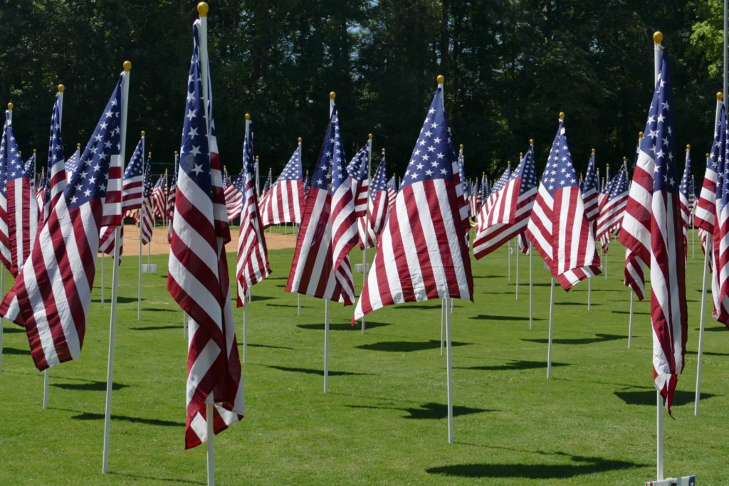 FOH Friday Flags 4 1024x683 1