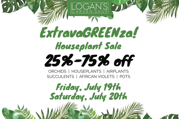 ExtravaGREENza 600x400px