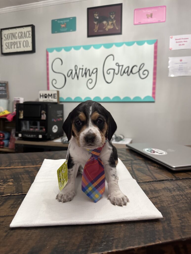 Meet the Owner - Saving Grace Supply Company 4 IMG 8011