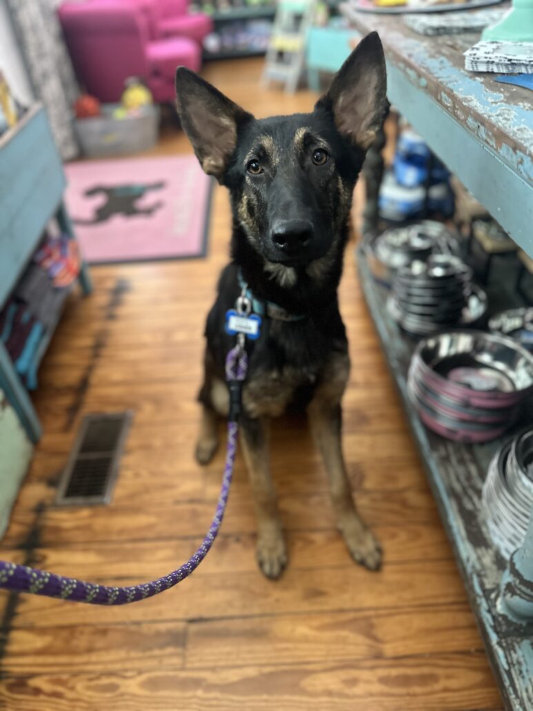 Meet the Owner - Saving Grace Supply Company 3 IMG 9064