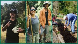 My favorite volunteers