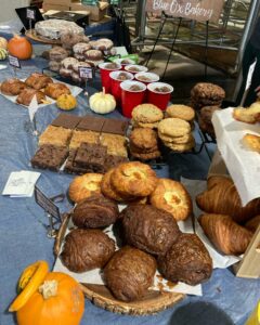 259450622 285009136870246 6221139598335014252 n