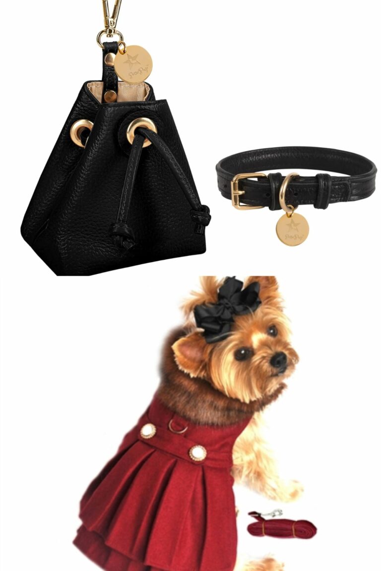 Dog Fashions Collage 3 768x1152