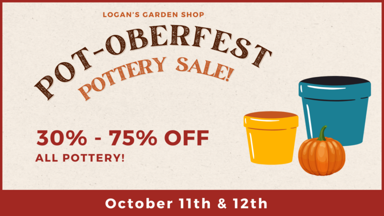 Logans Pot Oberfest 768x432