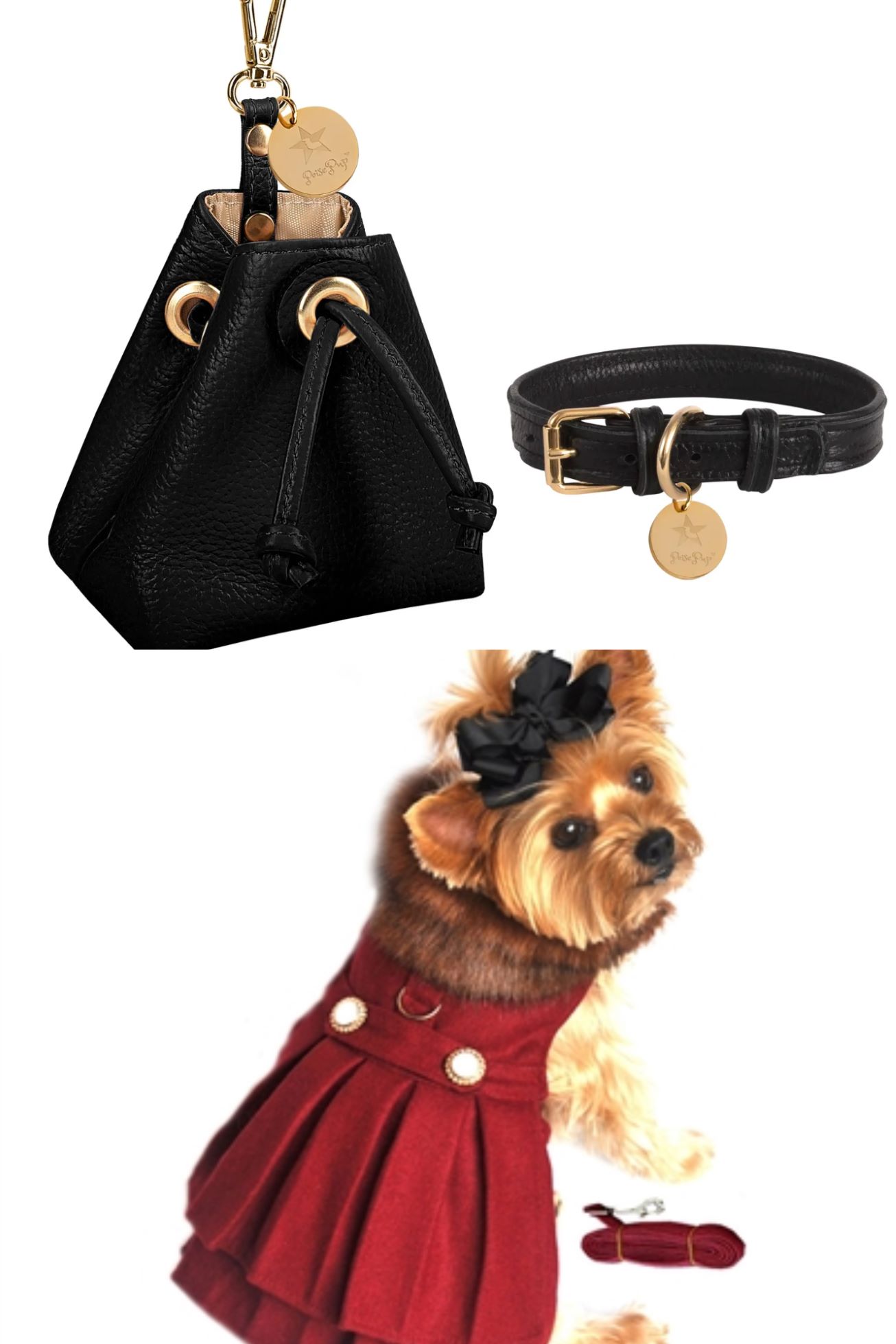 Dog Fashions Collage 3