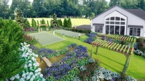 Donovan Manor Rose Garden