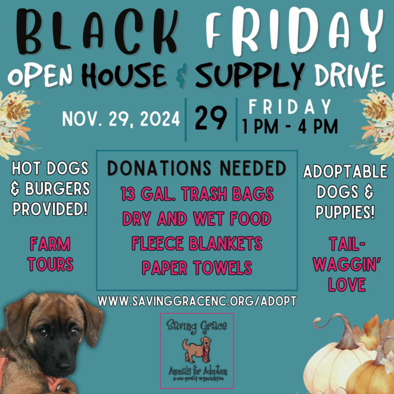FB Black Friday Open House 2024 11 HM 1920 x 1005 px Instagram Post 768x768