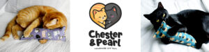 chester and pearl cat toys banner 2023b