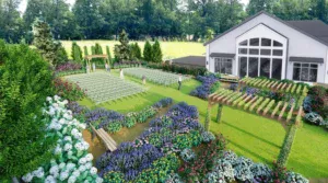 Donovan Manor Rose Garden