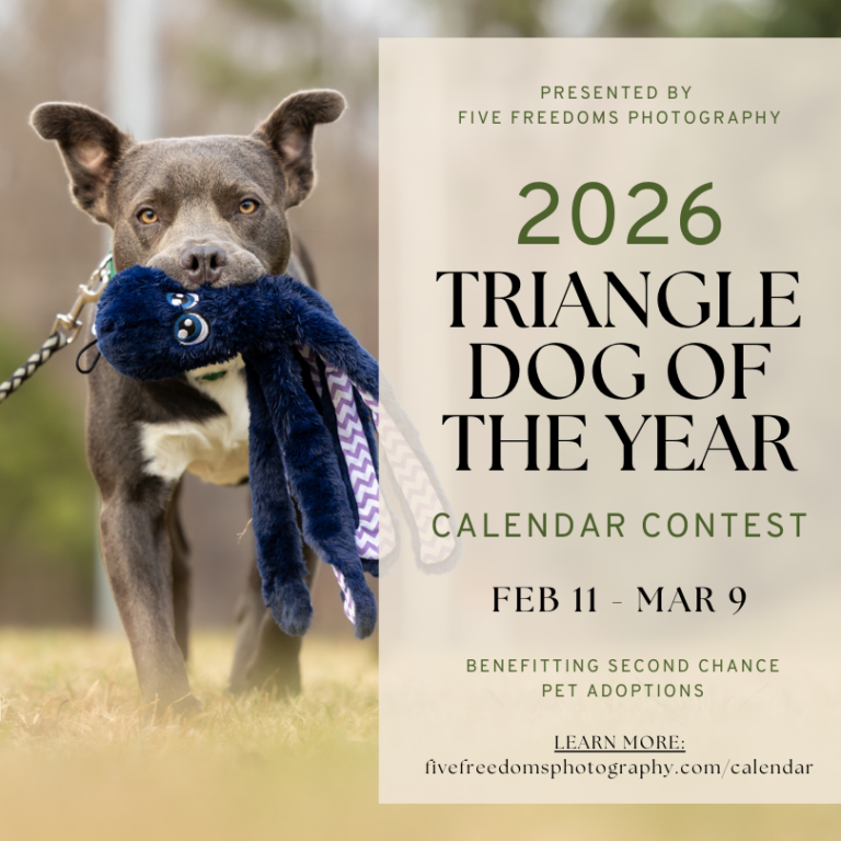 FFP Calendar Contest Graphic 2 768x768