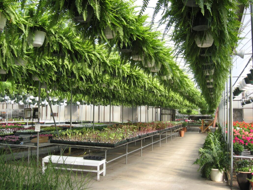 homewood nursery