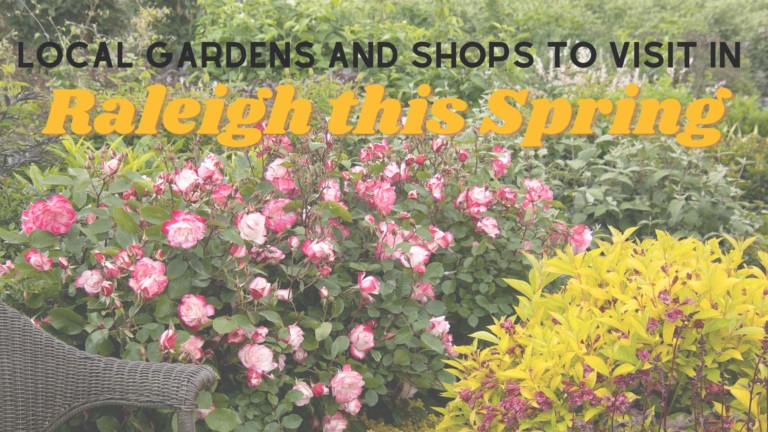 local gardens and shops