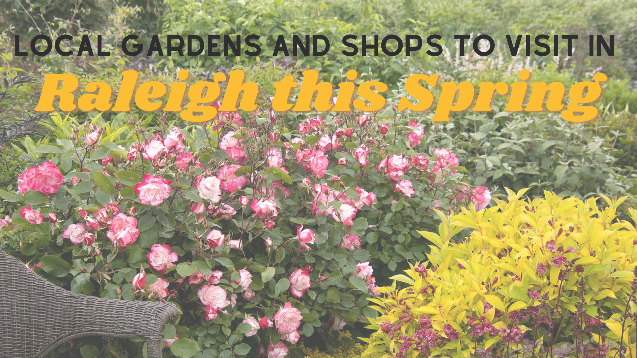 News 23 local gardens and shops
