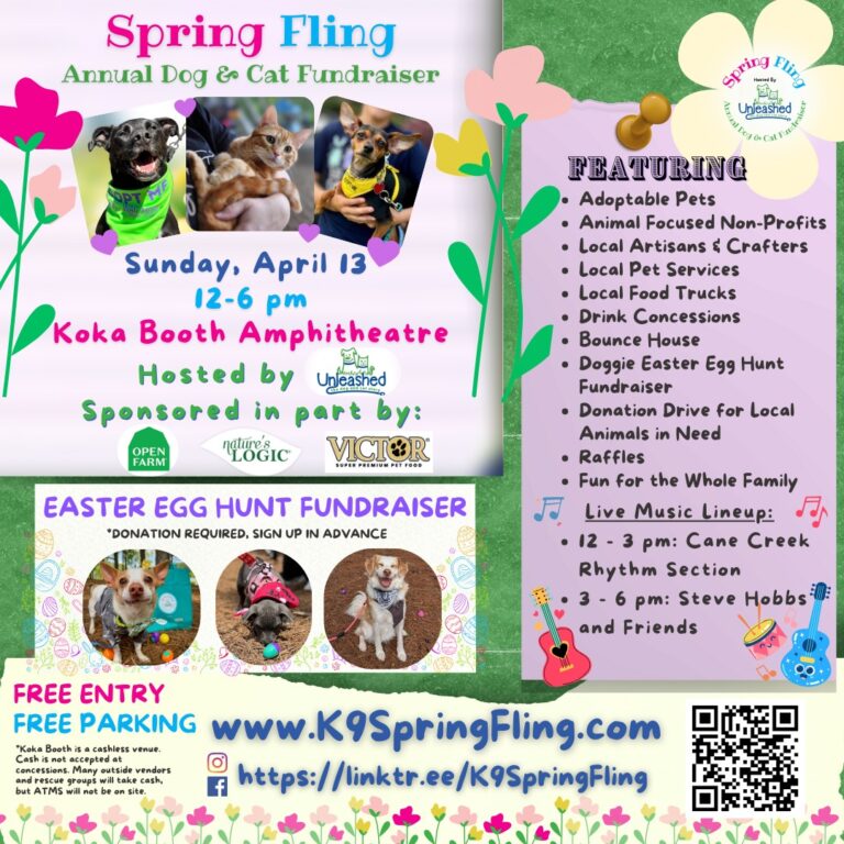 Spring Fling 2025 Poster Instagram 768x768